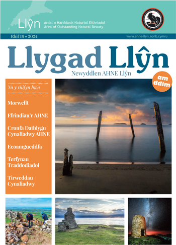 Llygad Llŷn 